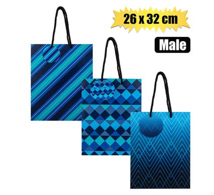 GIFT-BAG PAPER LRG 26x32cm EVERY MALE