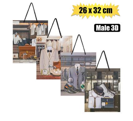 GIFT-BAG PAPER LRG 26x32cm MALE 3D