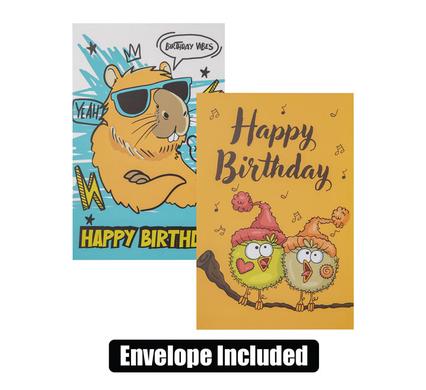 CARD & ENVELOPE BIRTHDAY - FUNNY (2)