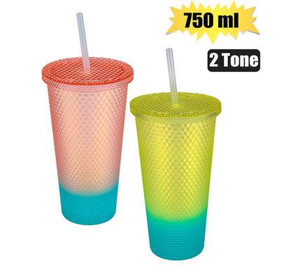 TUMBLER WITH STRAW 750ml 2-TONE
