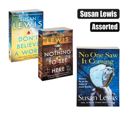 BOOK NOVEL B FORMAT SUSAN LEWIS